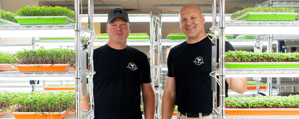 Grand Valley Micro Farms - Colorado - 06.13.24_Team_GrowRoom_Horizontal Two men standing in a modern indoor farm surrounded by trays of vibrant microgreens, showcasing sustainable agriculture practices.