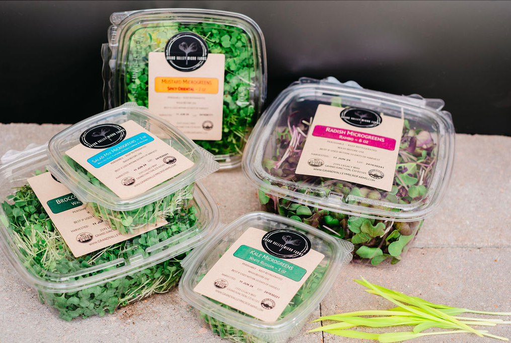 Grand Valley Micro Farms - Colorado - Clamshell_display_2 Microgreens assortment in clear plastic containers, featuring broccoli, mustard, radish, and kale varieties, displayed on a neutral surface. Each container is labeled with product information, highlighting freshness and sourcing from Grand Valley Farms.